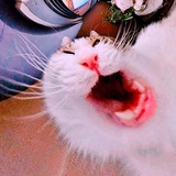 Telegram profile photo for Алёулю