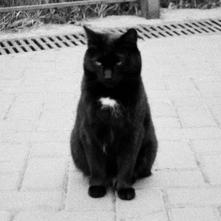 Telegram profile photo for окак