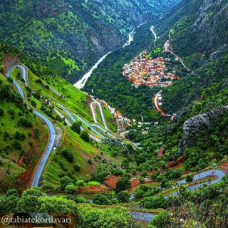 Telegram profile photo for 🍃🌾گیاه درمانی ،طبیعت کردستان🍀🌿