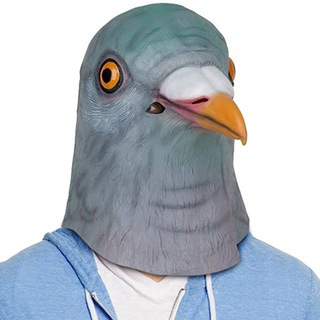 Telegram profile photo for Pigeon🐦Hub