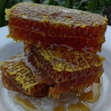 Telegram profile photo for عسل و لبنیات اسبفروشان
