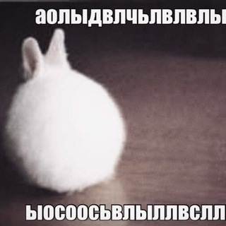 Telegram profile photo for чумная полянка🫰🏻
