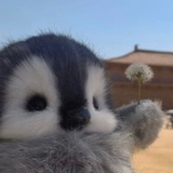 Telegram profile photo for XEIRA