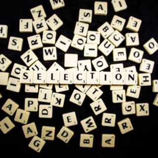 Telegram profile photo for Selection