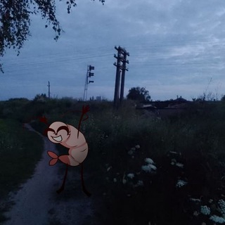 Telegram profile photo for Кастрюля с креветкой
