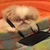 Telegram profile photo for мыльный дневник