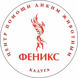 Telegram profile photo for Феникс дикие животные