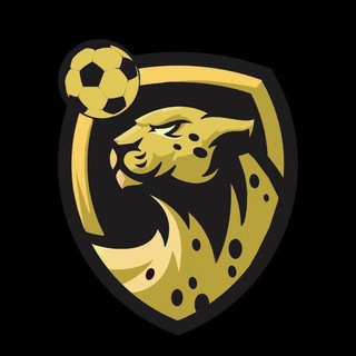 Telegram profile photo for Cheetabet - چیتابت