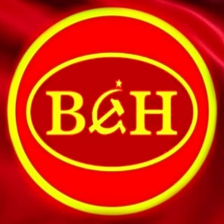 Telegram profile photo for ВСН. Официальный канал проекта