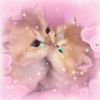Telegram profile photo for smooch