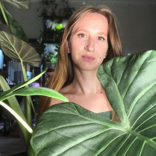 Telegram profile photo for Комнатный оазис🪴