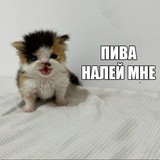 Telegram profile photo for Подвал Миллера