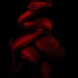 Telegram profile photo for ASPID UNIONS.