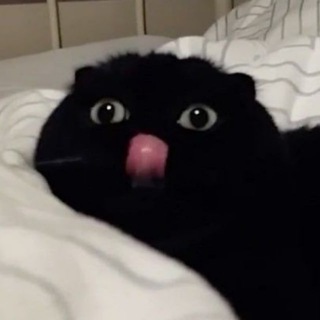 Telegram profile photo for Му́рджен