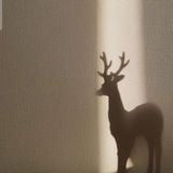 Telegram profile photo for ﮼مشمش 🦌✨.