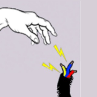 Telegram profile photo for r_whatcouldgowrong