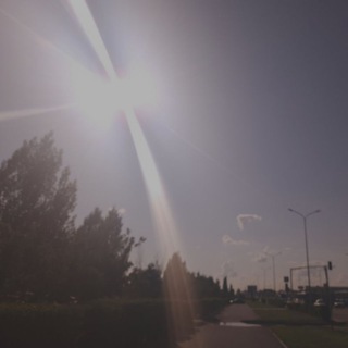 Telegram profile photo for Виниловые пластинки