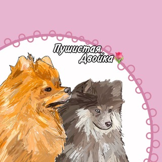 Telegram profile photo for Пушистая||Двойка🌷
