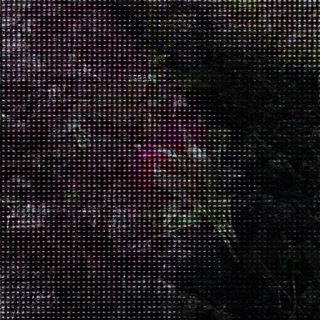 Telegram profile photo for Feelings