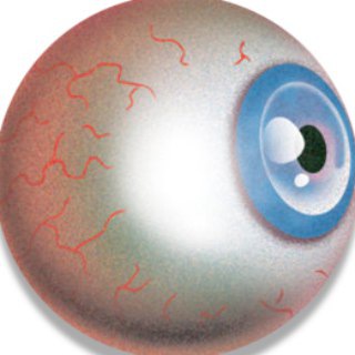 Telegram profile photo for ПИЗДАСТАЛИНА