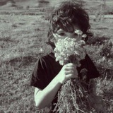Telegram profile photo for not a biography