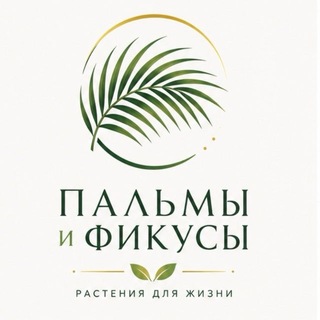 Telegram profile photo for Пальмы и фикусы