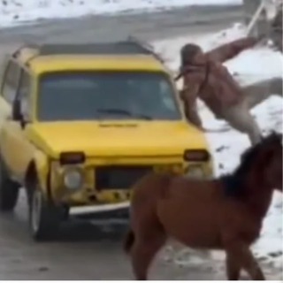 Telegram group profile photo for Витяги ТЦК (військомати)