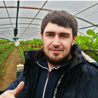 Telegram profile photo for Свой Сад