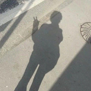 Telegram profile photo for requiem?
