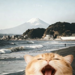 Telegram profile photo for когарашик