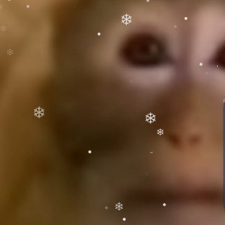 Telegram profile photo for ПЕРЕЕЗД / ₊⑅ ︩︪ׄ 𝇃𝇂𝇄ִ۫ . ☃️࿚ 𝆹𝅥 ︩𝂅𝑺𝒘𝒆𝒆𝒕 𝒘𝒐𝒓𝒍𝒅 ׄ. 𝇂 𓈒🥂𝇄ִ.⁽ ֺ