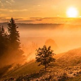 Telegram profile photo for Луч света в тёмном царстве