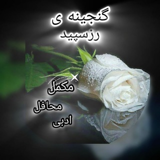 Telegram profile photo for ≫̶͟♡⊕ᬼ̰͇̪̻͖WᷟᣵرزسپیدRᷟᣵ⟅⍣࿐