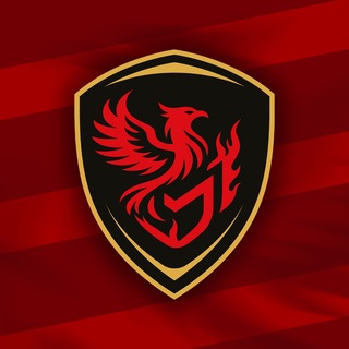 Telegram profile photo for ФСК «Фенікс-Маріуполь»