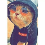 Telegram profile photo for ยฏ`๐
๐
๐
ค๐
๐
๐
๐
๐
๐
ข๐
๐
ค๐
๐
ยดยฏ ๐คช๐