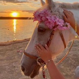 Telegram profile photo for بَ