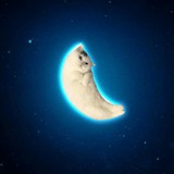 Telegram profile photo for Moony