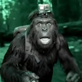 Telegram profile photo for PUMPED APE