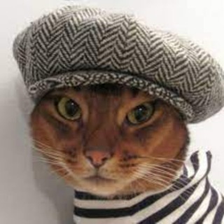 Telegram profile photo for Котяча барахолка