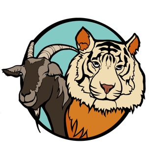 Telegram profile photo for Тимур и Амур