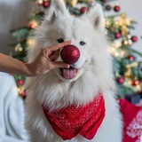 Telegram profile photo for Полезности | Основной