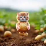 Telegram profile photo for Ями шнак