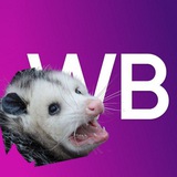 Telegram profile photo for Wild Opossum