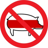 Telegram profile photo for Літсвини exposed