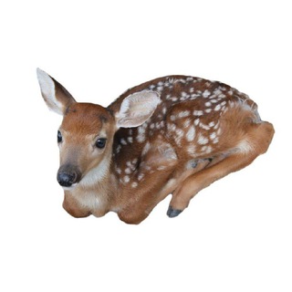 Telegram profile photo for ставочок🪷