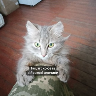 Telegram profile photo for Як я провів літо