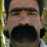 Telegram profile photo for جک های خز و خیل