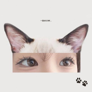 Telegram profile photo for ︎ ︎