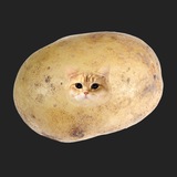 Telegram profile photo for Главный по мэшапам пирокинезиса