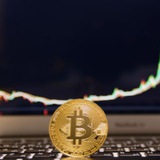 Telegram profile photo for Binance Crypto Trading™